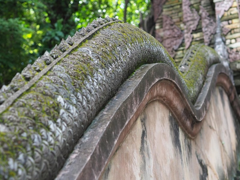 Naga